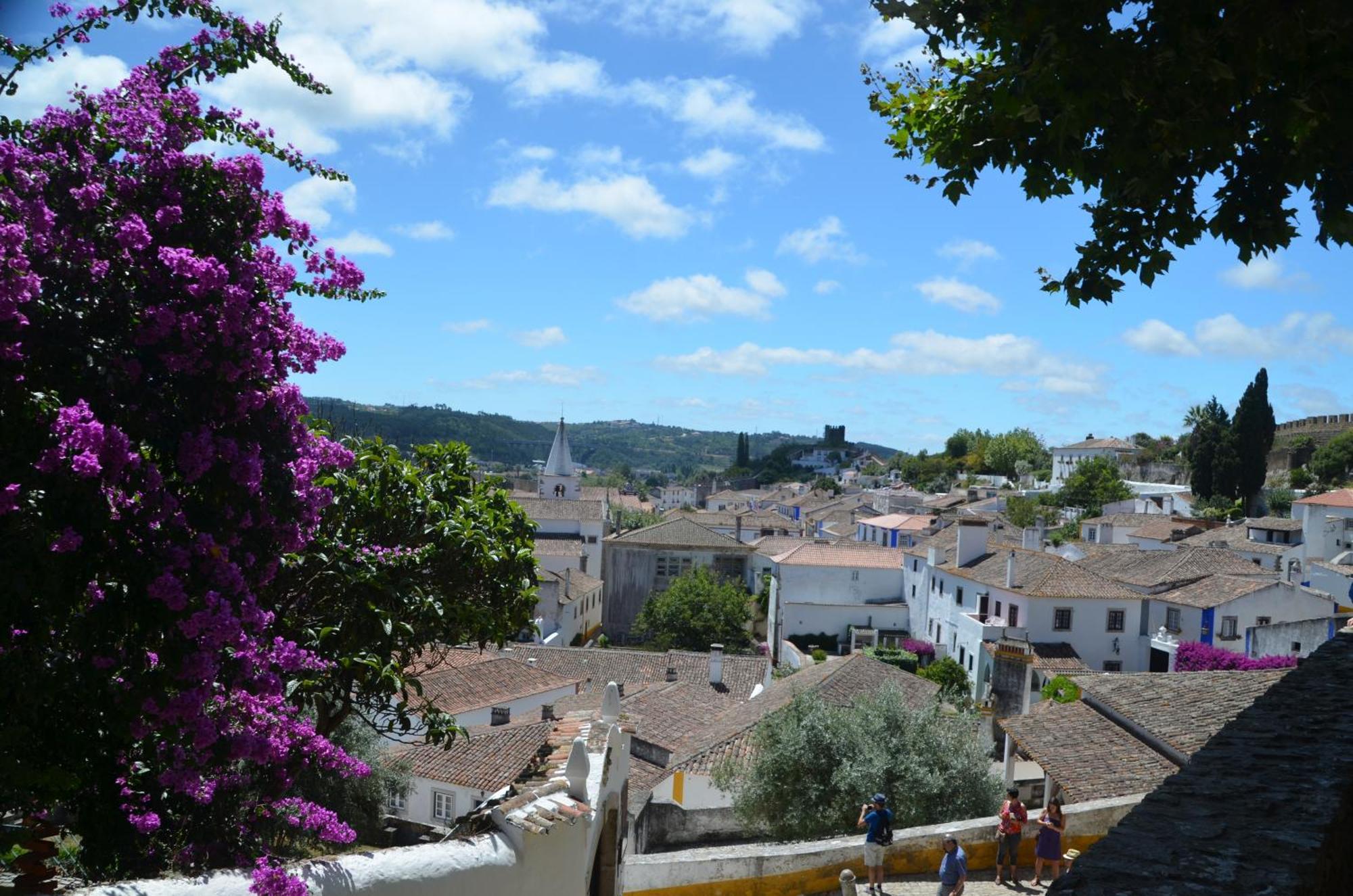 Cazenn Salir Do Porto - Holiday House Salir de Porto 외부 사진